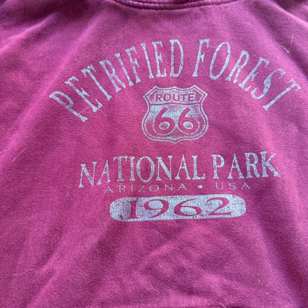 Prairie Mountain Petrified Forest National Park Route 66 Hoodie Maroon Medium